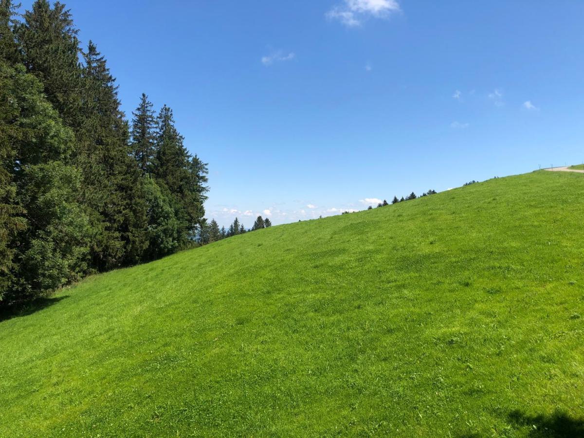 Hirschen Wald - Gasthaus & Baeckerei Екстер'єр фото