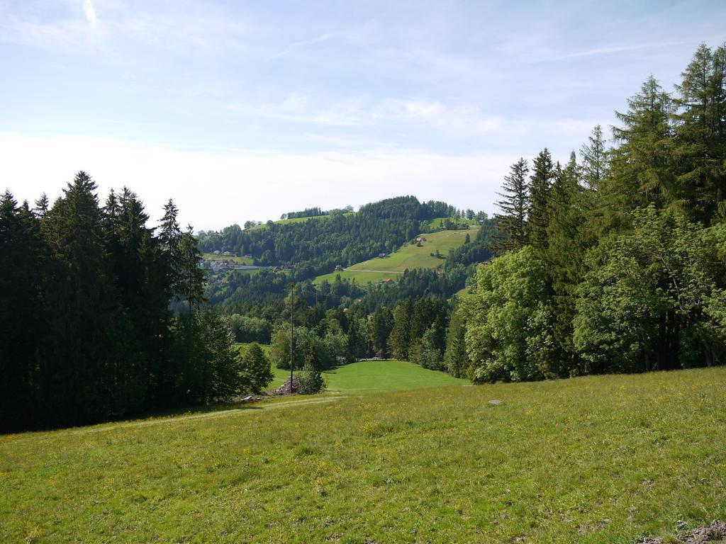 Hirschen Wald - Gasthaus & Baeckerei Екстер'єр фото